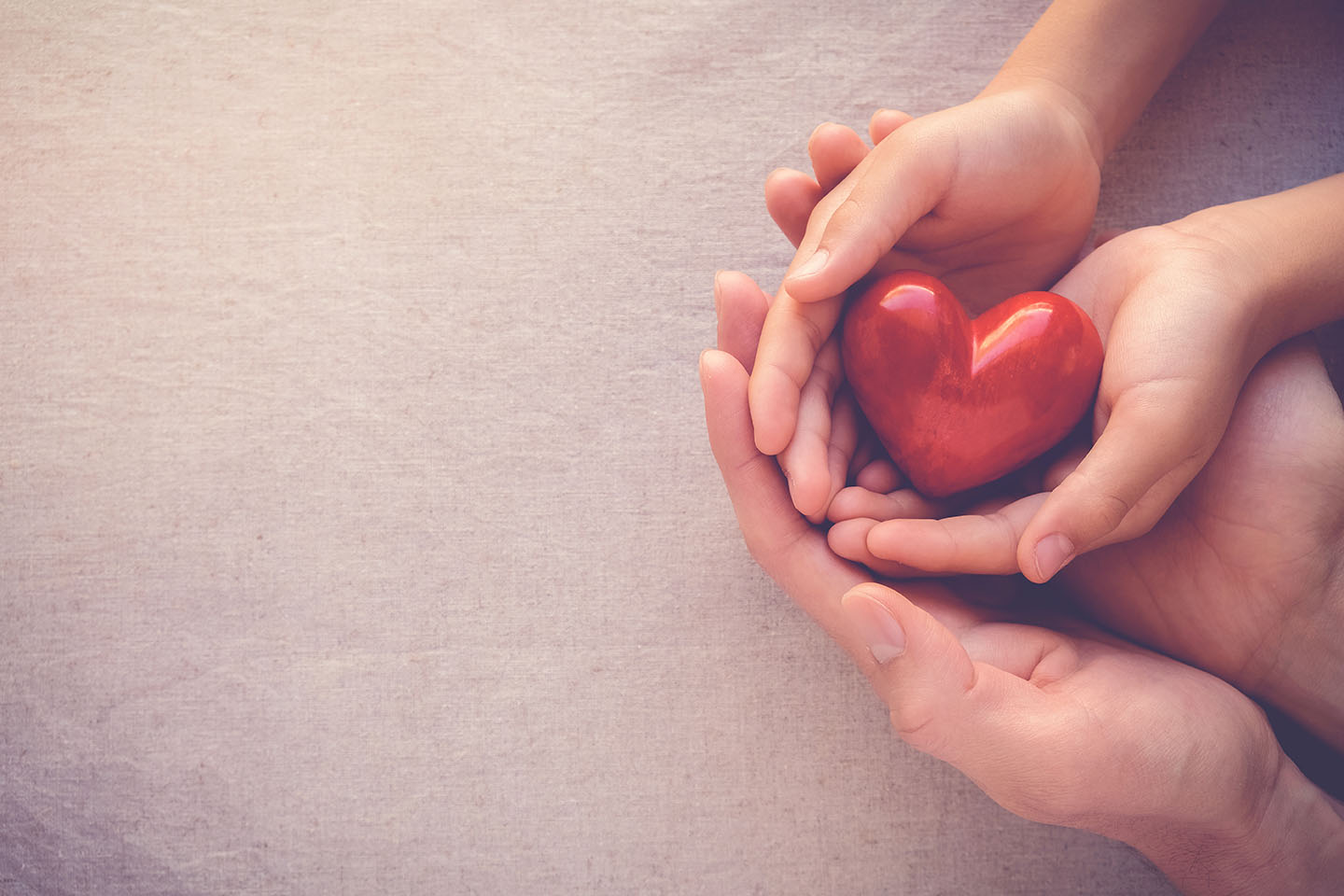 adult and child hands holiding red heart, health care love and f